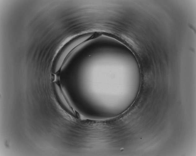 X0000097760934200803141720