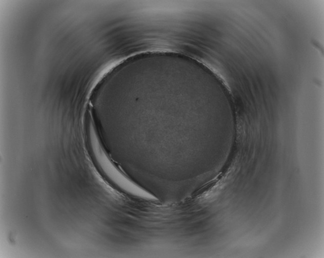 X0000097760935200803141720