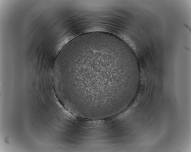 X0000097760937200803141720