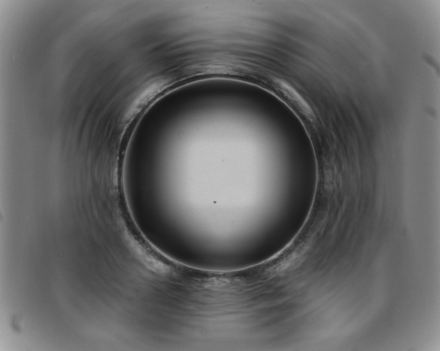 X0000097760938200803141720