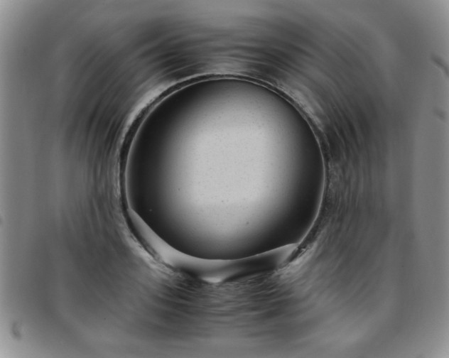 X0000097760939200803141720