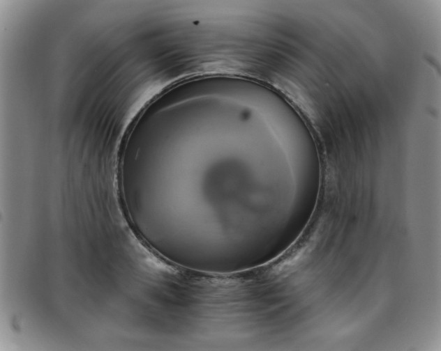 X0000097760941200803141720