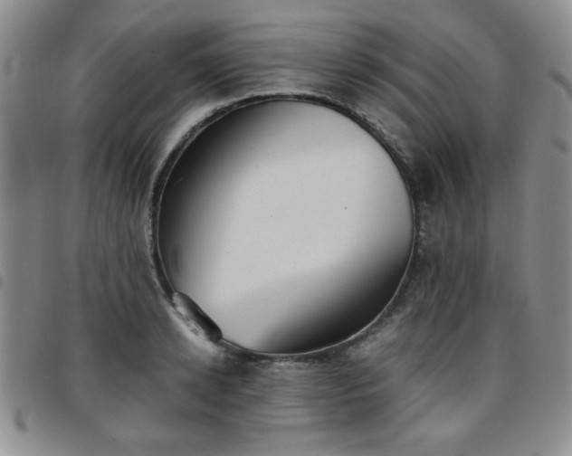 X0000097760942200803141720