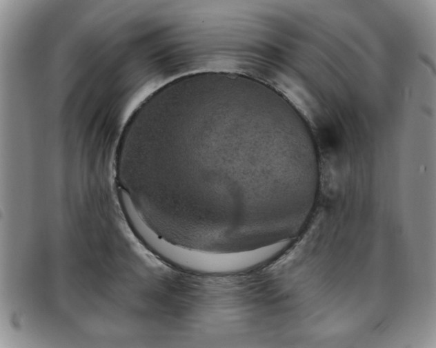 X0000097760944200803141720