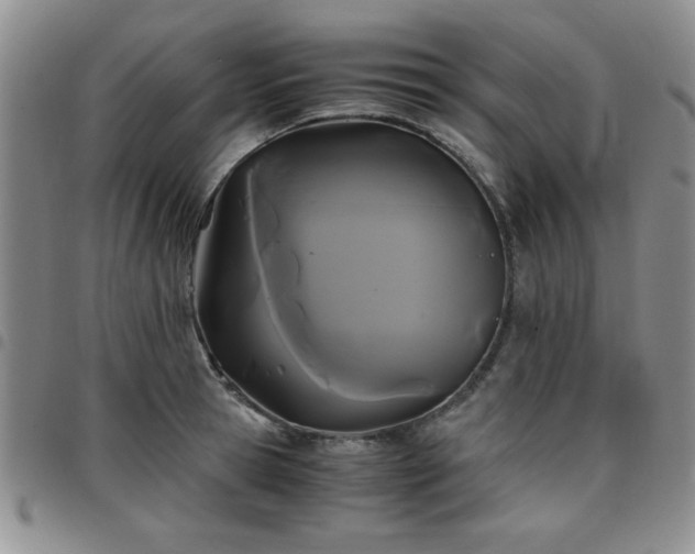 X0000097760945200803141720