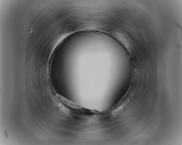 X0000097760948200803141720