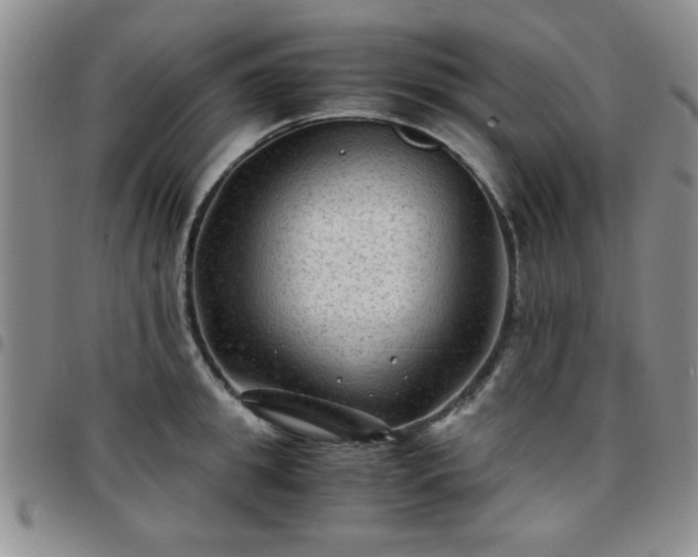 X0000097760949200803141720