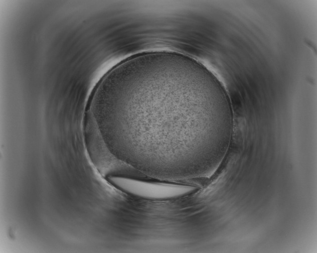 X0000097760951200803141720