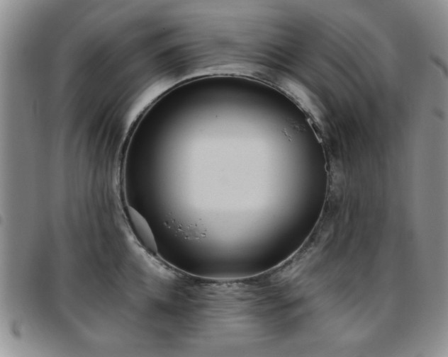 X0000097760952200803141720