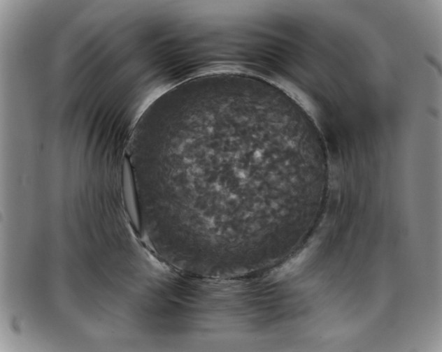 X0000097760953200803141720