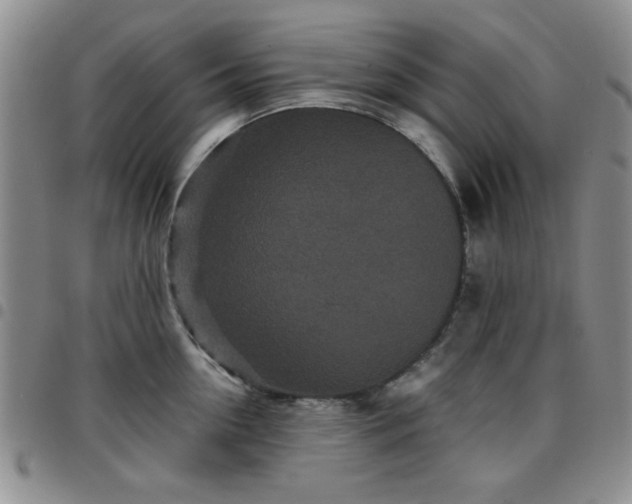 X0000097760954200803141720