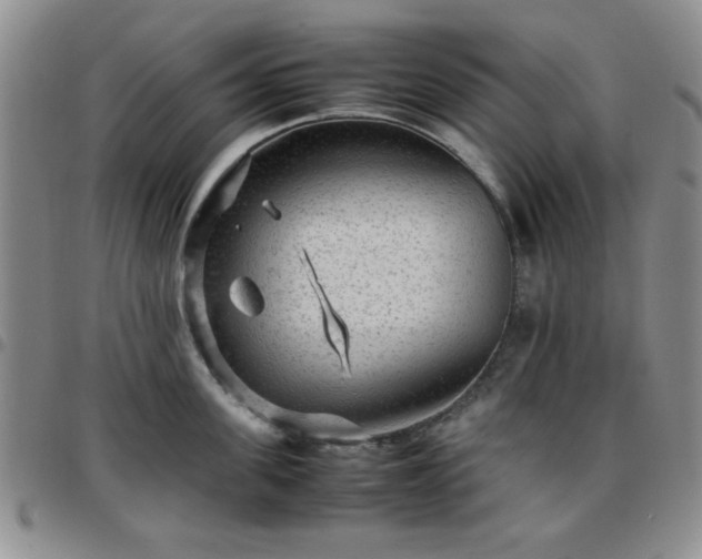 X0000097760955200803141720