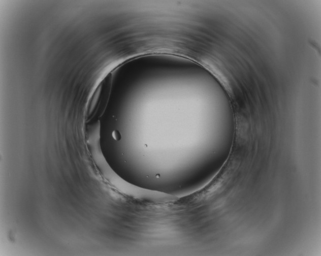 X0000097760956200803141720