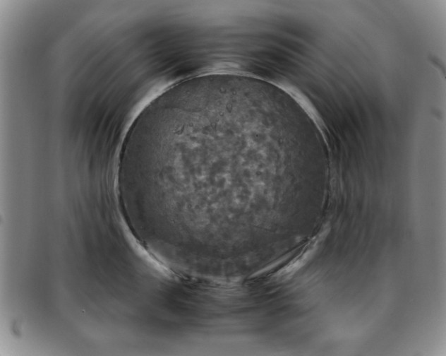 X0000097760957200803141720