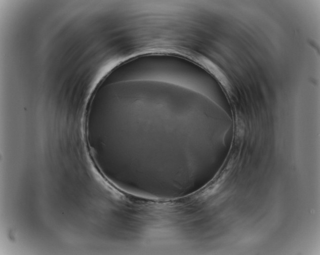 X0000097760958200803141720