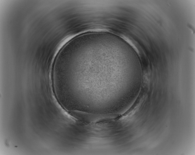 X0000097760959200803141720