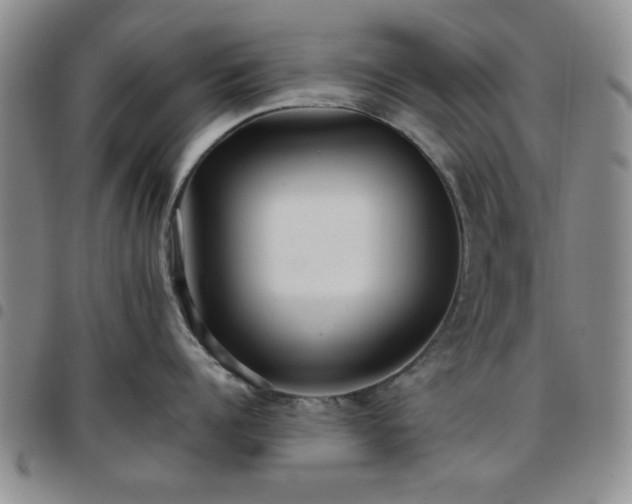 X0000097760960200803141720