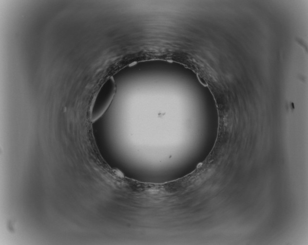 X0000097760961200803141719