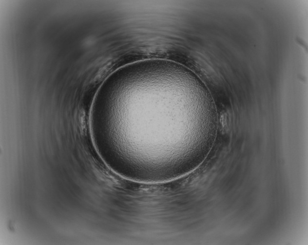 X0000097760963200803141719