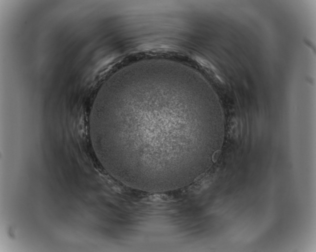 X0000097760966200803141719