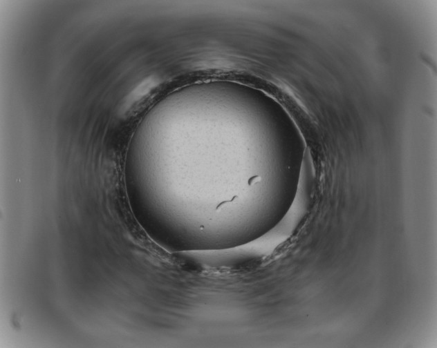 X0000097760967200803141719