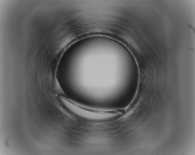 X0000097760969200803141719