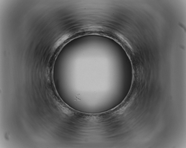 X0000097760970200803141719