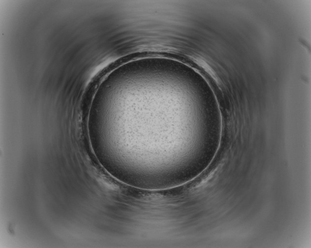 X0000097760971200803141719