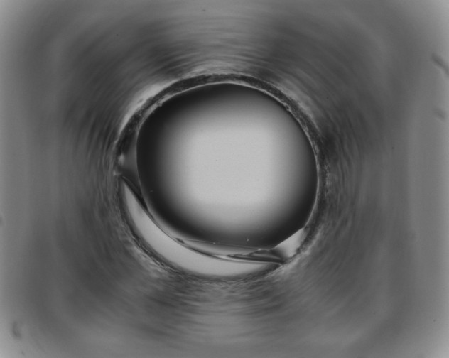 X0000097760973200803141719