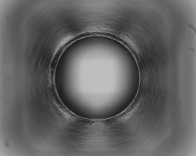 X0000097760974200803141719