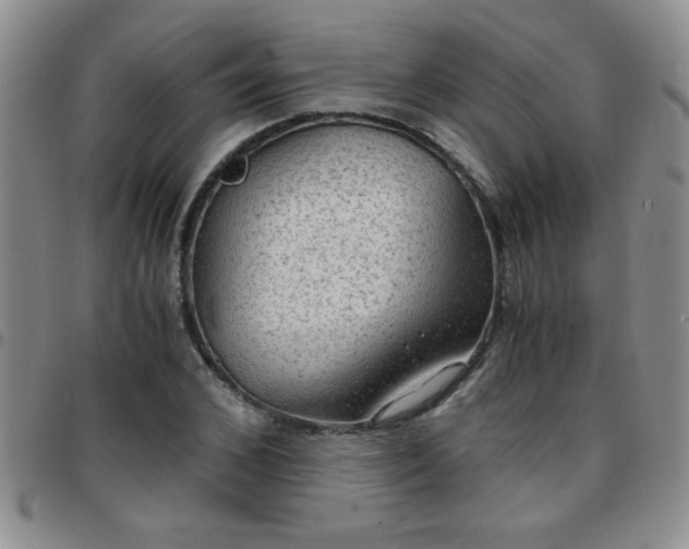 X0000097760976200803141719