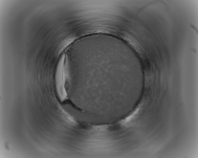 X0000097760977200803141719