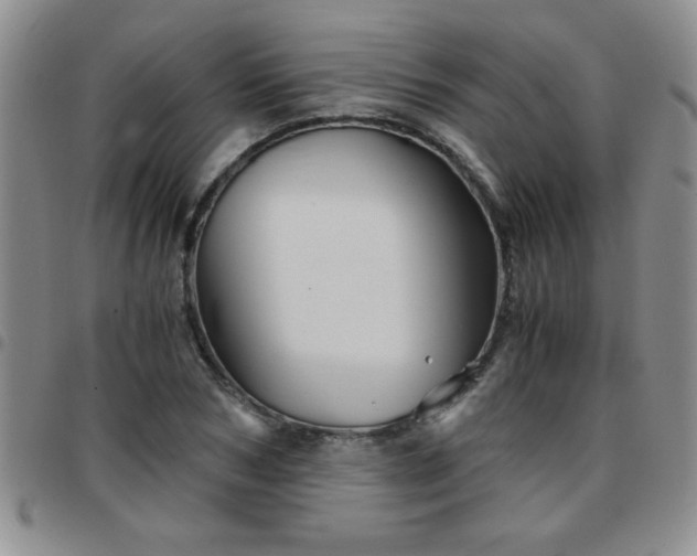 X0000097760978200803141719