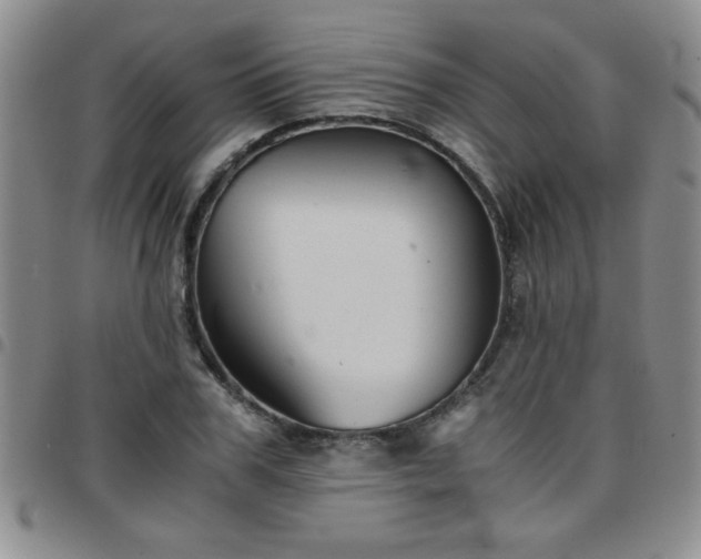 X0000097760979200803141719