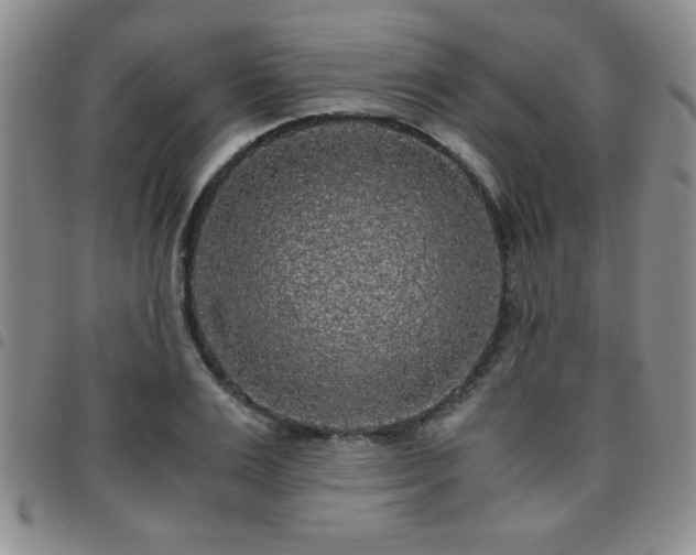 X0000097760983200803141719