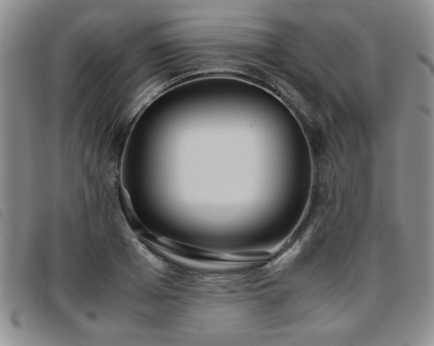 X0000097760985200803141719