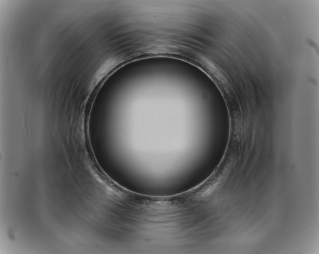 X0000097760986200803141719