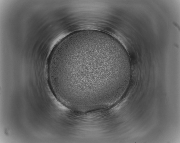 X0000097760987200803141719