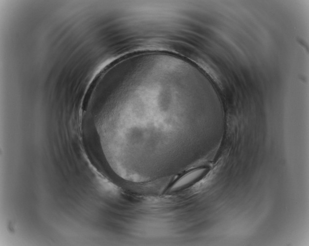 X0000097760988200803141719