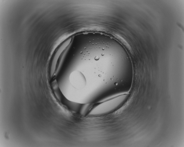 X0000097760989200803141719