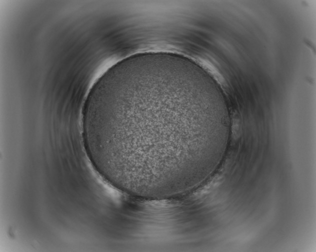 X0000097760990200803141719