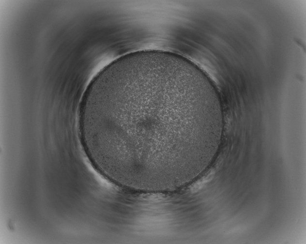 X0000097760991200803141719