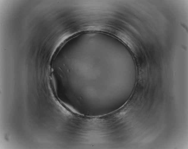 X0000097760992200803141719