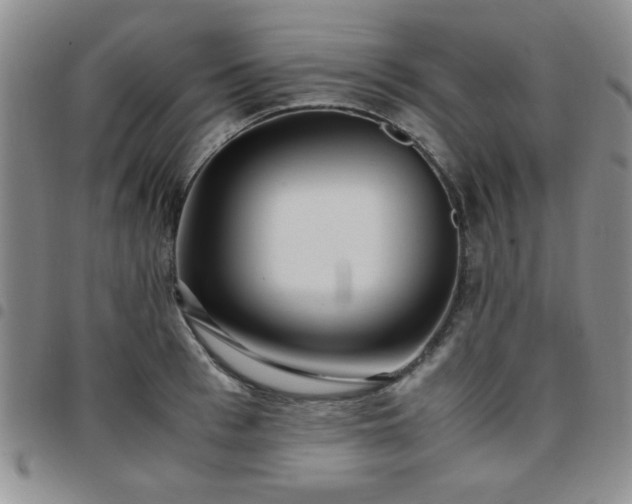 X0000097760993200803141719