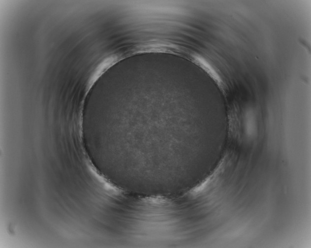 X0000097760994200803141719