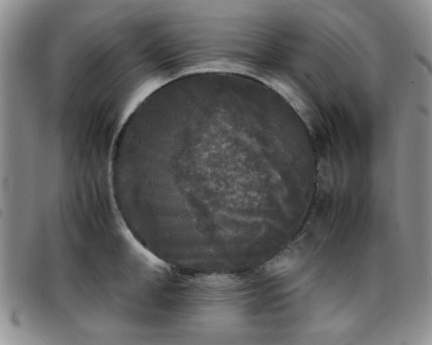 X0000097760998200803141719