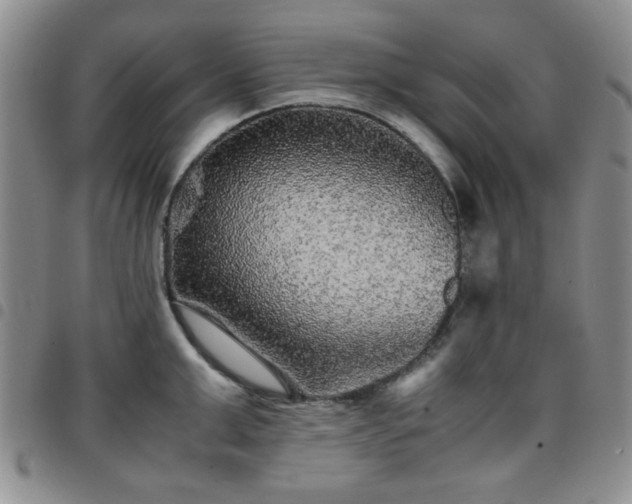 X0000097760999200803141719