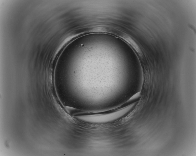 X0000097761000200803141719