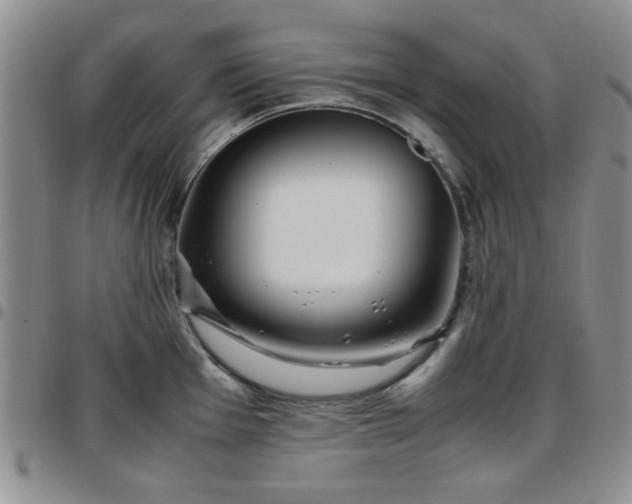 X0000097761001200803141719