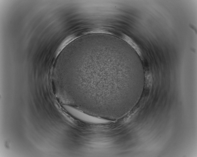 X0000097761002200803141719